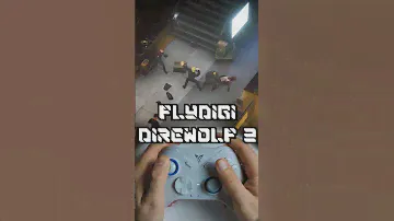 Краткий обзор геймпада Flydigi Direwolf 2 #ОчБыстро